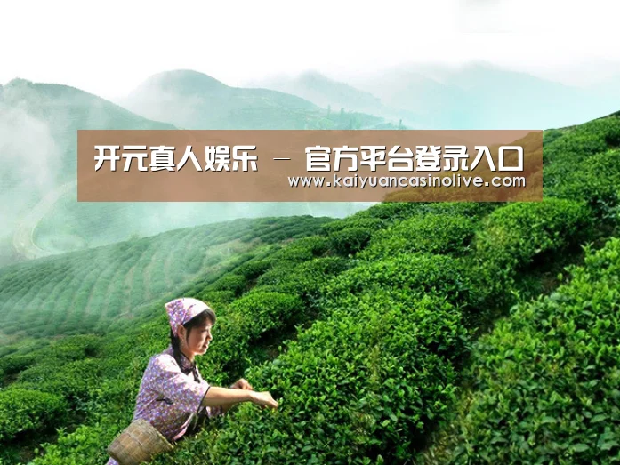 开元真人娱乐 - 官方平台登录入口