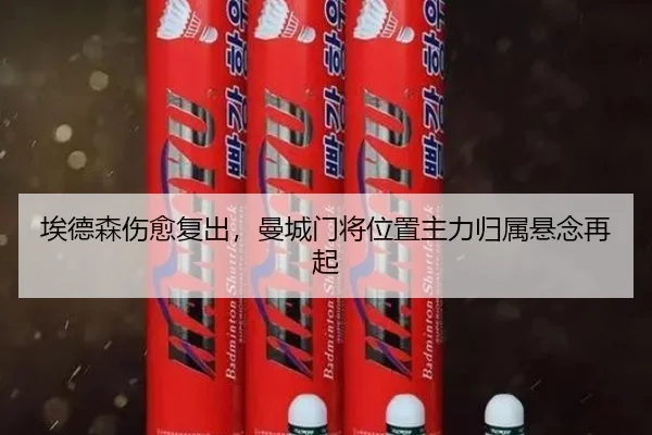 ai-de-sen-shang-yu-fu-chu-man-cheng-men-jiang-wei-zhi-zhu-li-gui-shu-xuan-nian-zai-qi-3-223.jpg