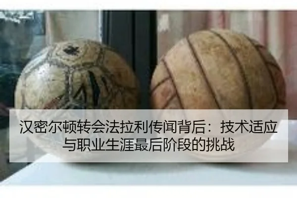 han-mi-er-dun-zhuan-hui-fa-la-li-chuan-wen-bei-hou-ji-shu-shi-ying-yu-zhi-ye-sheng-ya-zui-hou-jie-duan-de-tiao-zhan-3-685.jpg