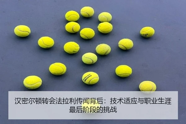 汉密尔顿转会法拉利传闻背后：技术适应与职业生涯最后阶段的挑战
