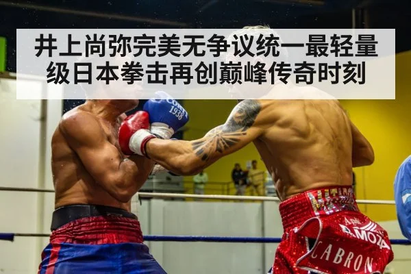 boxing fight action