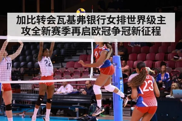volleyball Champions League match