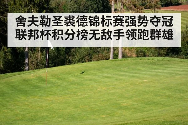 舍夫勒圣裘德锦标赛强势夺冠 联邦杯积分榜无敌手领跑群雄